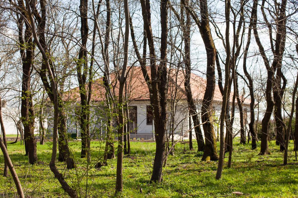 Отель Kakasszeki Vendeghaz Szekkutas Экстерьер фото